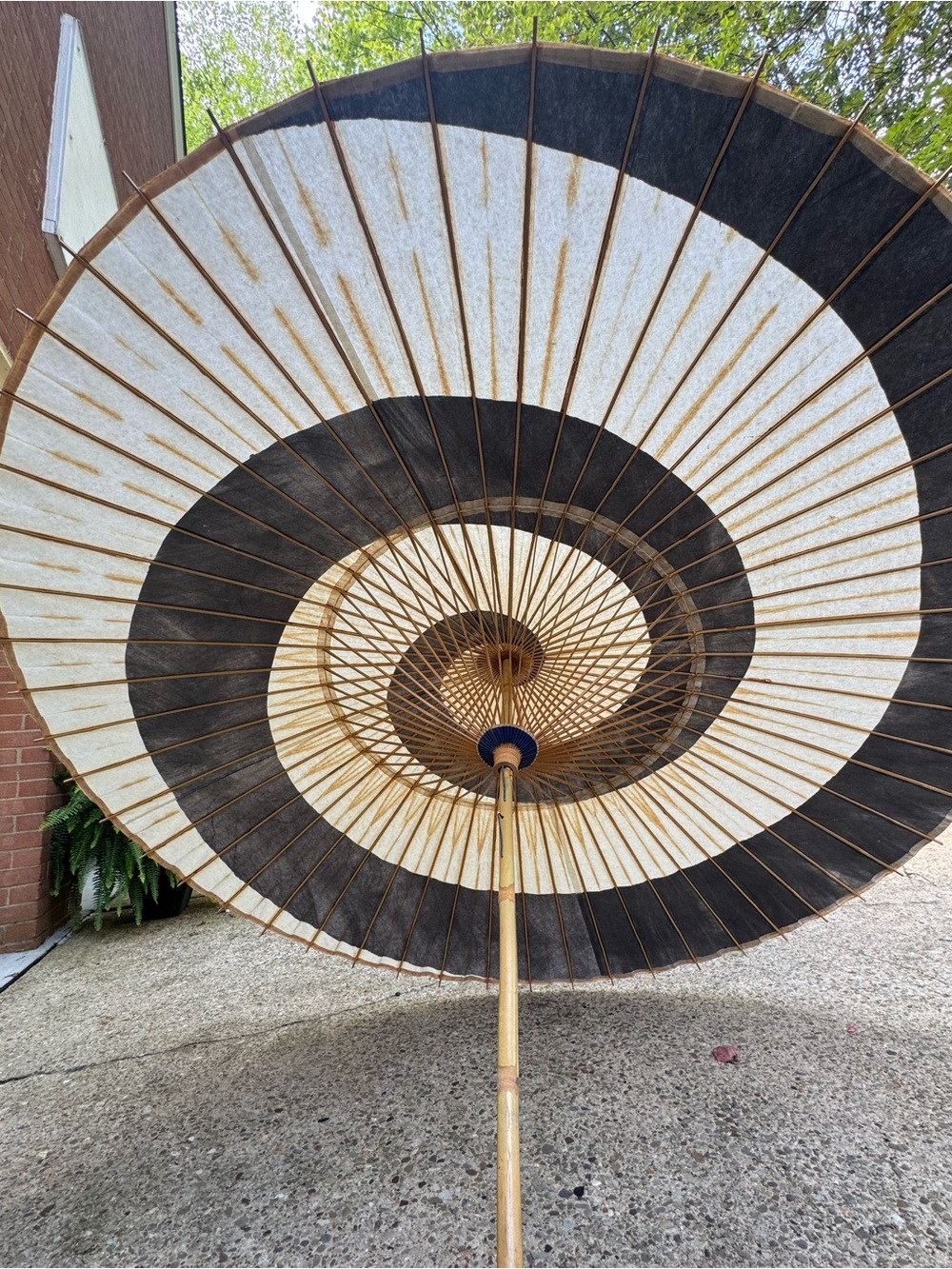 Vintage MCM Japanese Paper Parasol Umbrella 67” Black White Bullseye Bamboo